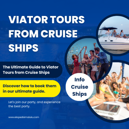 Viator Tours From Cruise Ships Guide to Viator Tours