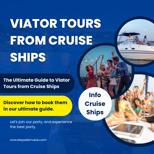 viator tours from cruise ships